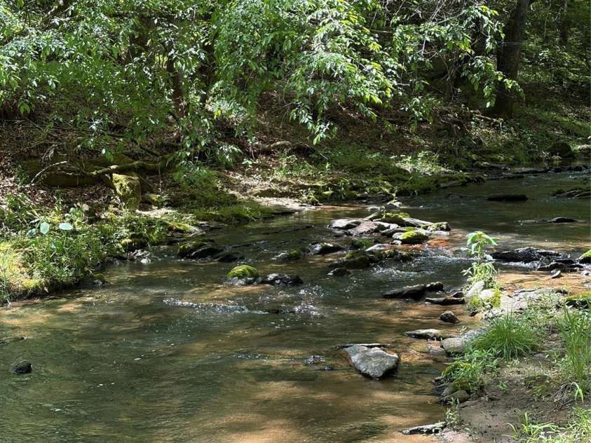 8186 Old Nc Highway 60 None, Roaring River, NC 28697.  MLS# CAR4387839, YatesRealty ID 28265. 