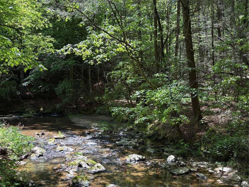 8186 Old Nc Highway 60 None, Roaring River, NC 28697.  MLS# CAR4387839, YatesRealty ID 28265. 