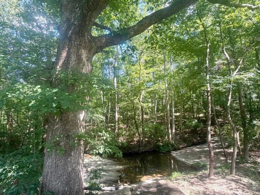 111 Cloverleaf Drive, Clover, SC 29710.  MLS# CAR4417258, YatesRealty ID 2835. 
