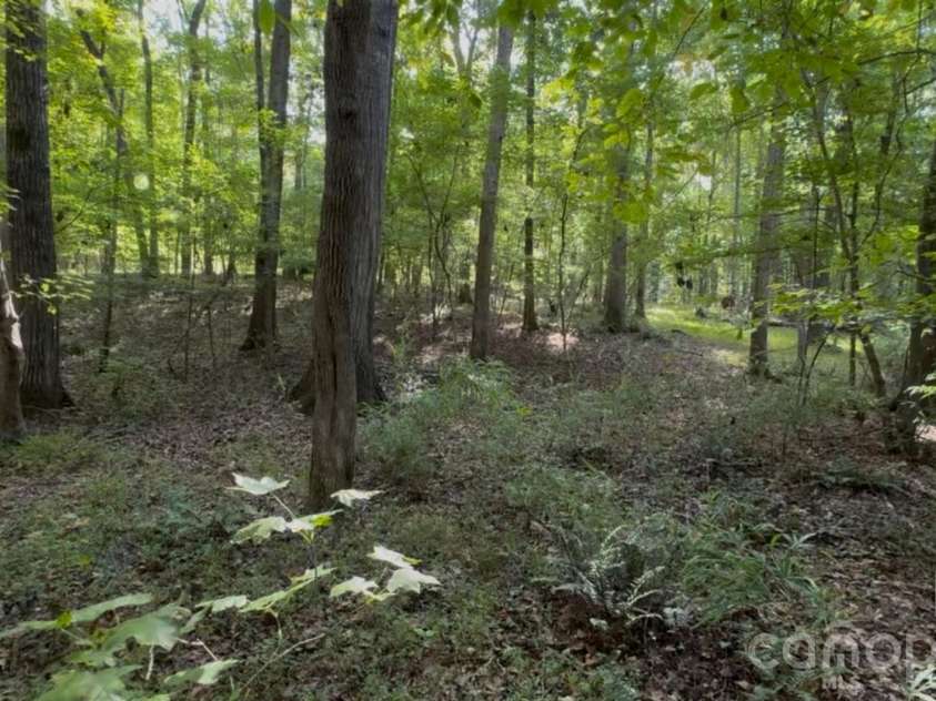 1402 Bloomsberry Lane, Waxhaw, NC 28173.  MLS# CAR4294984, YatesRealty ID 2835. 5.86 acres of level grade land 