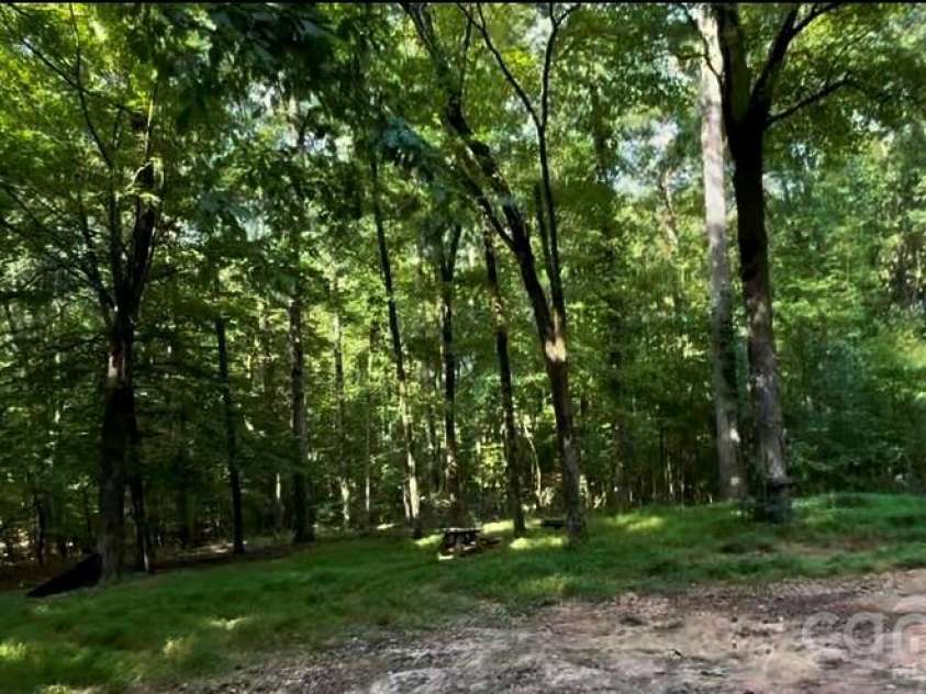 1402 Bloomsberry Lane, Waxhaw, NC 28173.  MLS# CAR4294984, YatesRealty ID 2835. Various species of hardwood trees