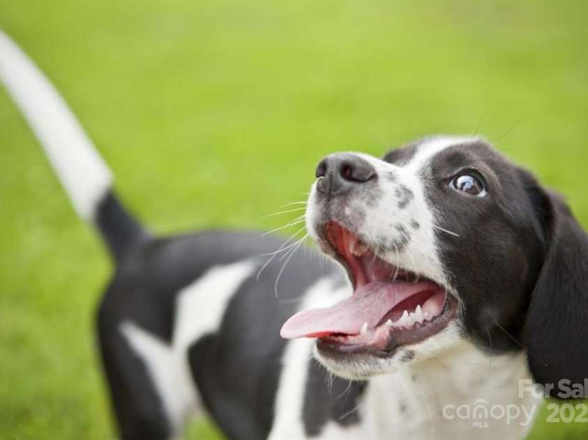 5772 Knox Lane, Kannapolis, NC 28081.  MLS# CAR4247142, YatesRealty ID 28372. Representative Photo - Spacious and Maintenance free backyards