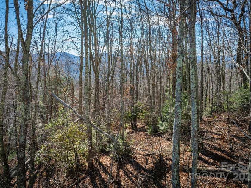 344 & 348 Tumbling Brook Drive, Banner Elk, NC 28604.  MLS# CAR4202279, YatesRealty ID 284. 