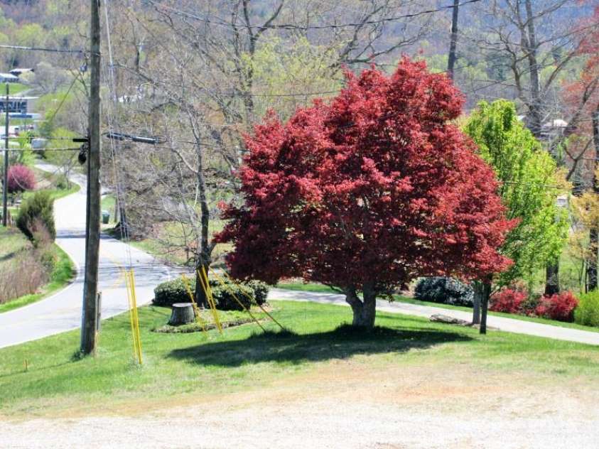 529 Old Newfound Road, Leicester, NC 28748.  MLS# CAR4279296, YatesRealty ID 28402. 