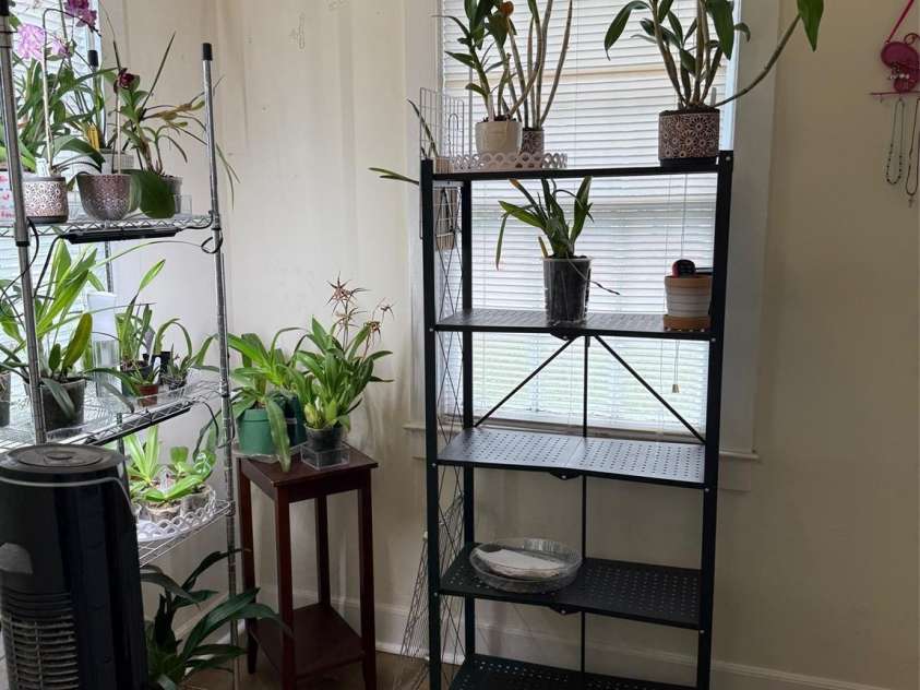 202 Ingram Street, Kershaw, SC 29067.  MLS# CAR4300565, YatesRealty ID 2841. 