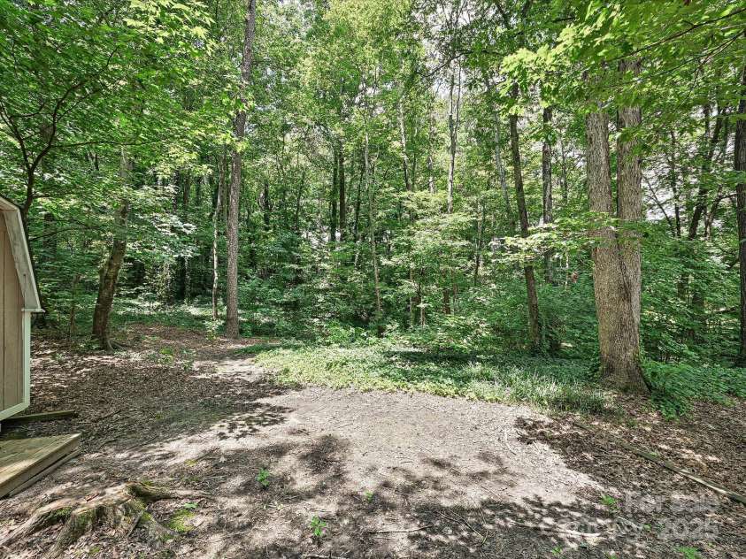 2621 Brightmoor Ridge Drive, Matthews, NC 28105.  MLS# CAR4275858, YatesRealty ID 28410. Back Yard - Wooded