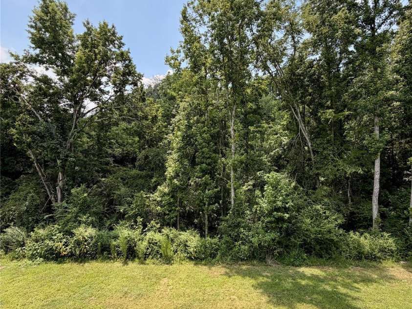 200 Fostoria Place, Albemarle, NC 28001.  MLS# CAR4202364, YatesRealty ID 28431. Backyard