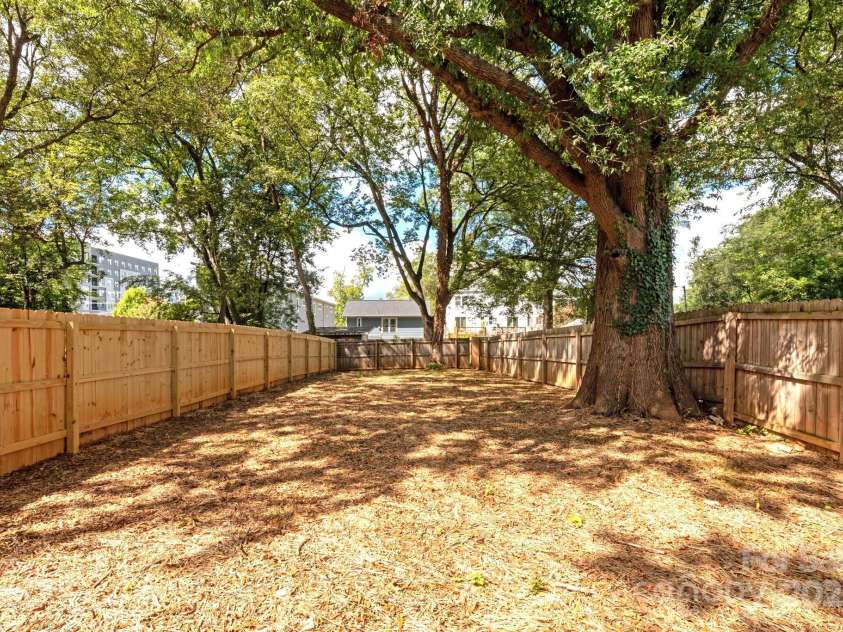 1119 Myers Street, Charlotte, NC 28206.  MLS# CAR4281419, YatesRealty ID 2846. Large fenced-in backyard
