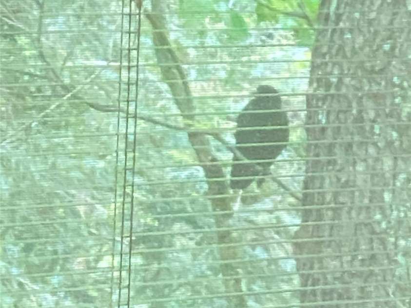 280 Crescent Drive, Lake Junaluska, NC 28745.  MLS# CAR4271616, YatesRealty ID 28463. 