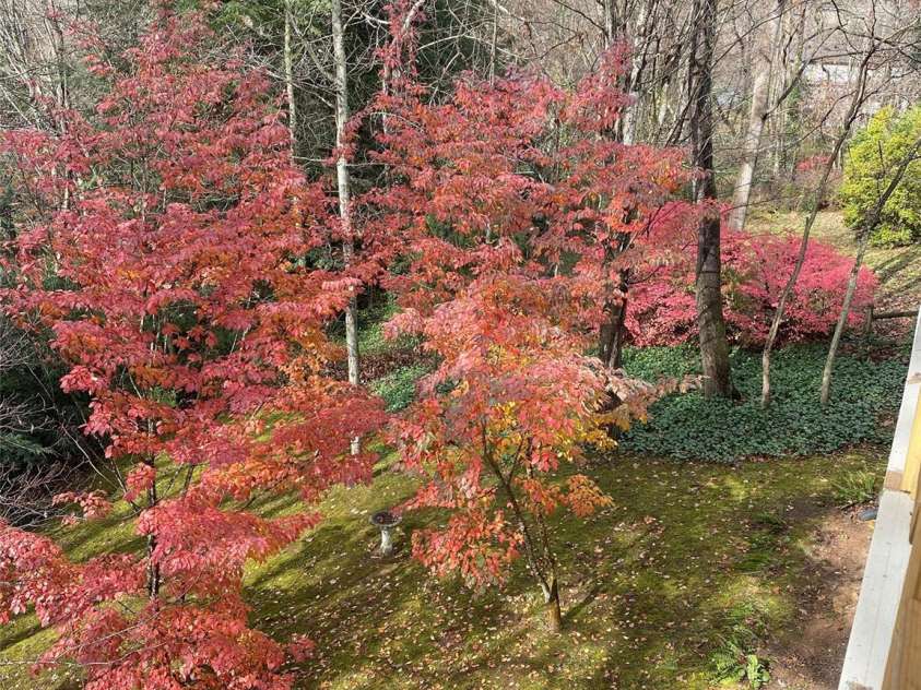 280 Crescent Drive, Lake Junaluska, NC 28745.  MLS# CAR4271616, YatesRealty ID 28463. 