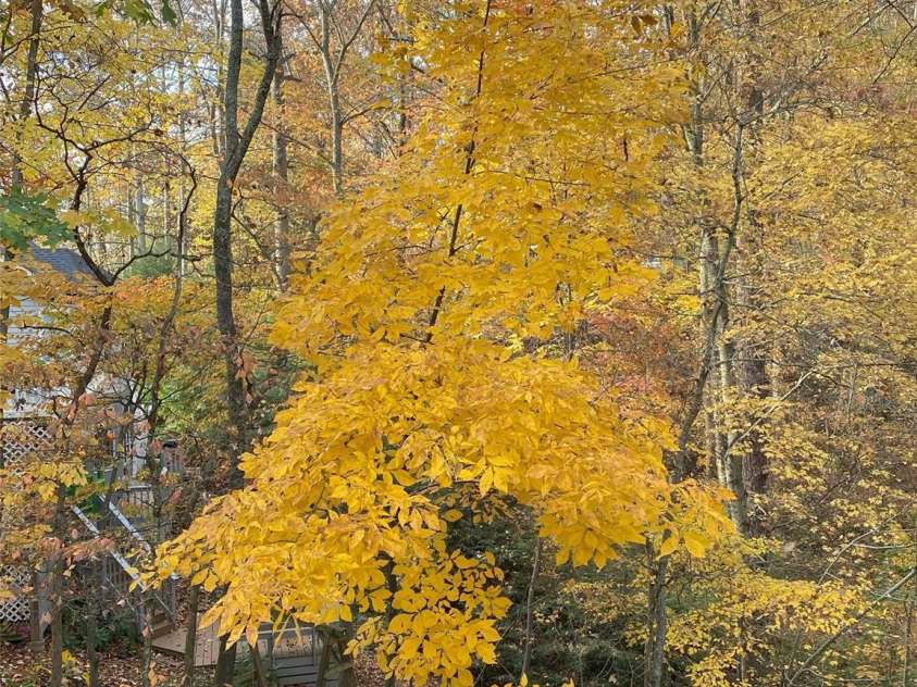 280 Crescent Drive, Lake Junaluska, NC 28745.  MLS# CAR4271616, YatesRealty ID 28463. 