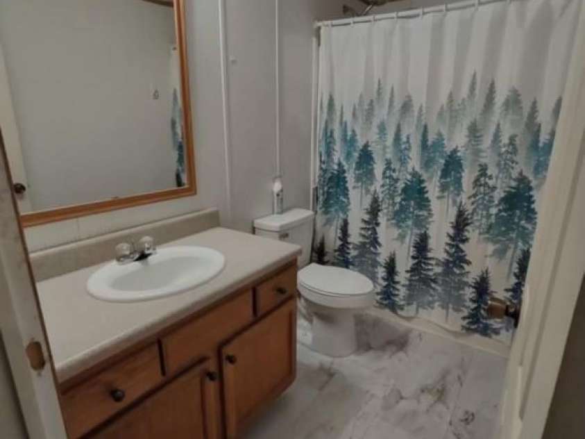 176 Hunters Glen Road, Troy, NC 27371.  MLS# CAR4281871, YatesRealty ID 28488. Bathroom