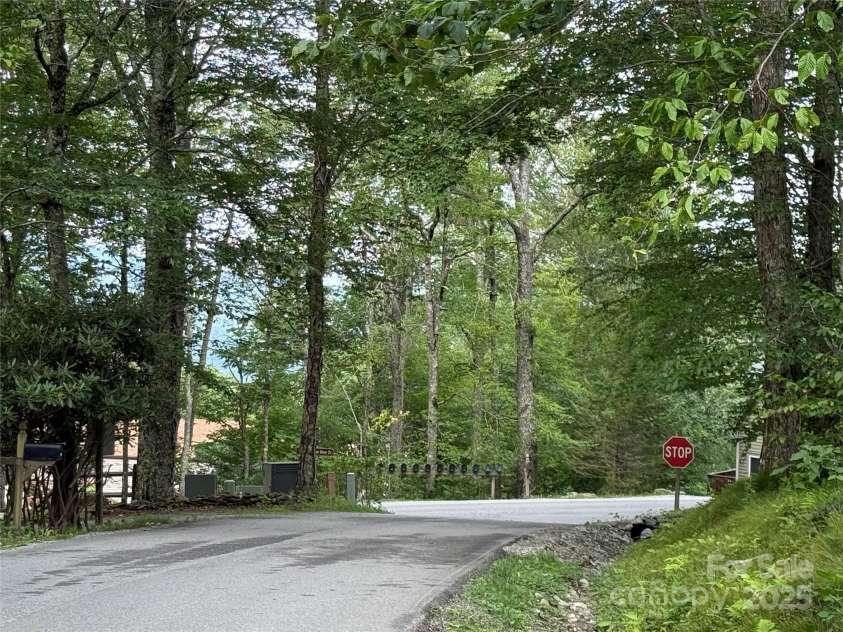167 Rough Ridge Road, Sugar Mountain, NC 28604.  MLS# CAR4280706, YatesRealty ID 28505. Road
