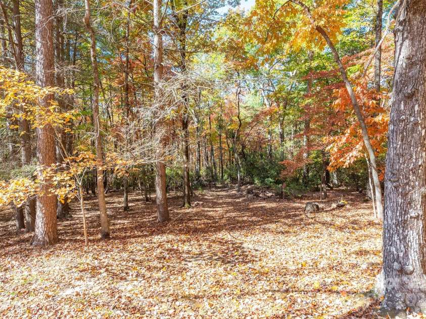 102 Weaver Mill Road, Columbus, NC 28722.  MLS# CAR4211548, YatesRealty ID 2852. So many places to site other cabins on the property