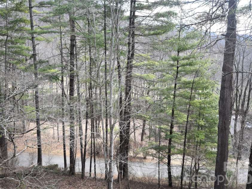1299 Country Club Drive, Canton, NC 28716.  MLS# CAR4353422, YatesRealty ID 2853. The golf course is visible through the trees
