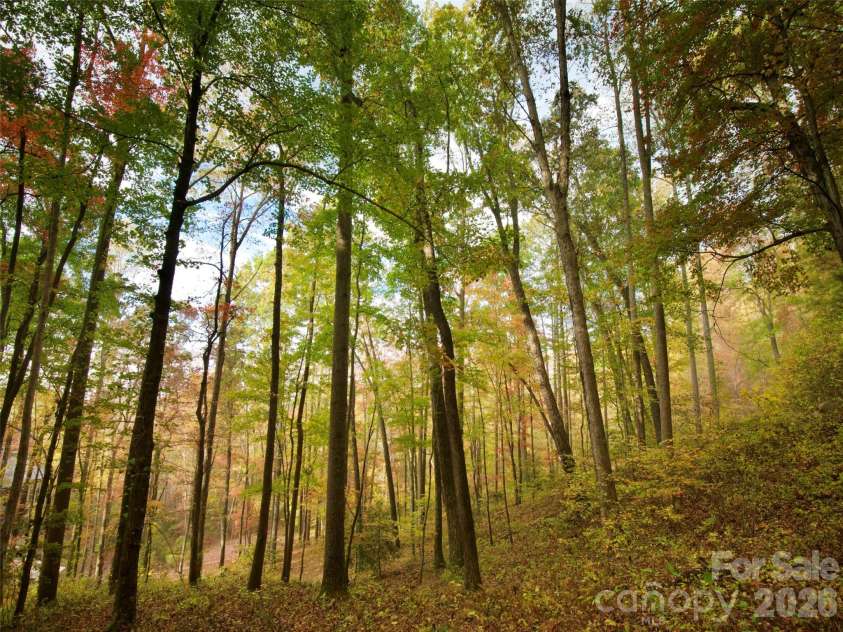 841 Blackthorne Lane, Arden, NC 28704.  MLS# CAR4313999, YatesRealty ID 2854. 