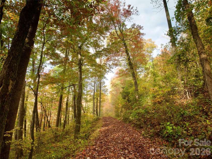 841 Blackthorne Lane, Arden, NC 28704.  MLS# CAR4313999, YatesRealty ID 2854. 