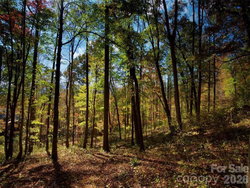 841 Blackthorne Lane, Arden, NC 28704.  MLS# CAR4313999, YatesRealty ID 2854. 