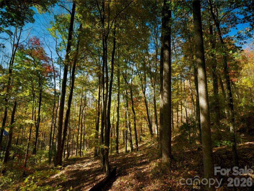 841 Blackthorne Lane, Arden, NC 28704.  MLS# CAR4313999, YatesRealty ID 2854. 