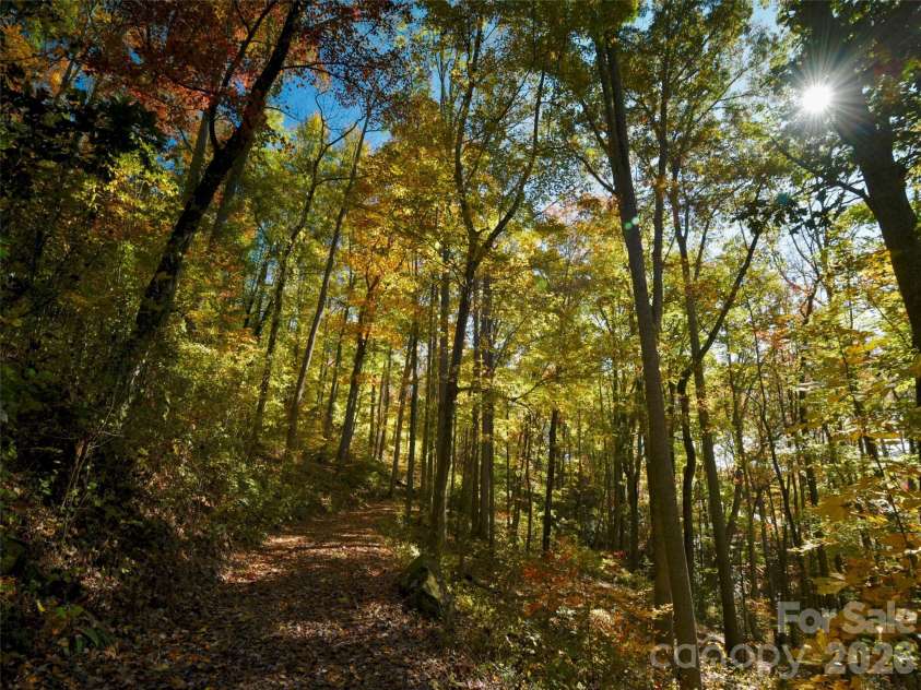 841 Blackthorne Lane, Arden, NC 28704.  MLS# CAR4313999, YatesRealty ID 2854. 