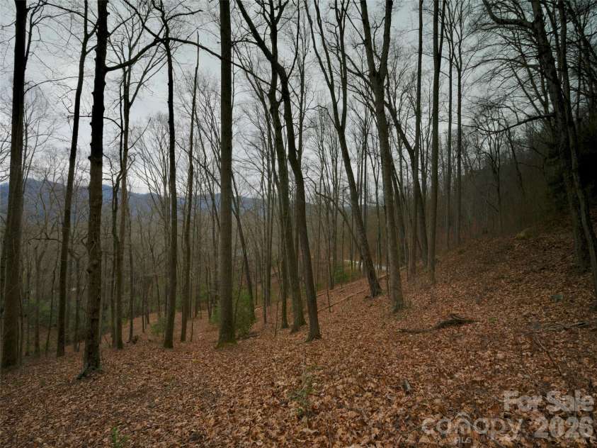 841 Blackthorne Lane, Arden, NC 28704.  MLS# CAR4313999, YatesRealty ID 2854. 