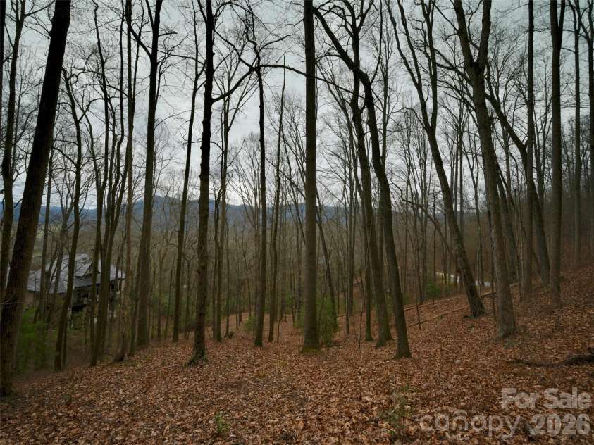 841 Blackthorne Lane, Arden, NC 28704.  MLS# CAR4313999, YatesRealty ID 2854. 