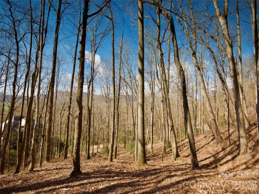 841 Blackthorne Lane, Arden, NC 28704.  MLS# CAR4313999, YatesRealty ID 2854. 