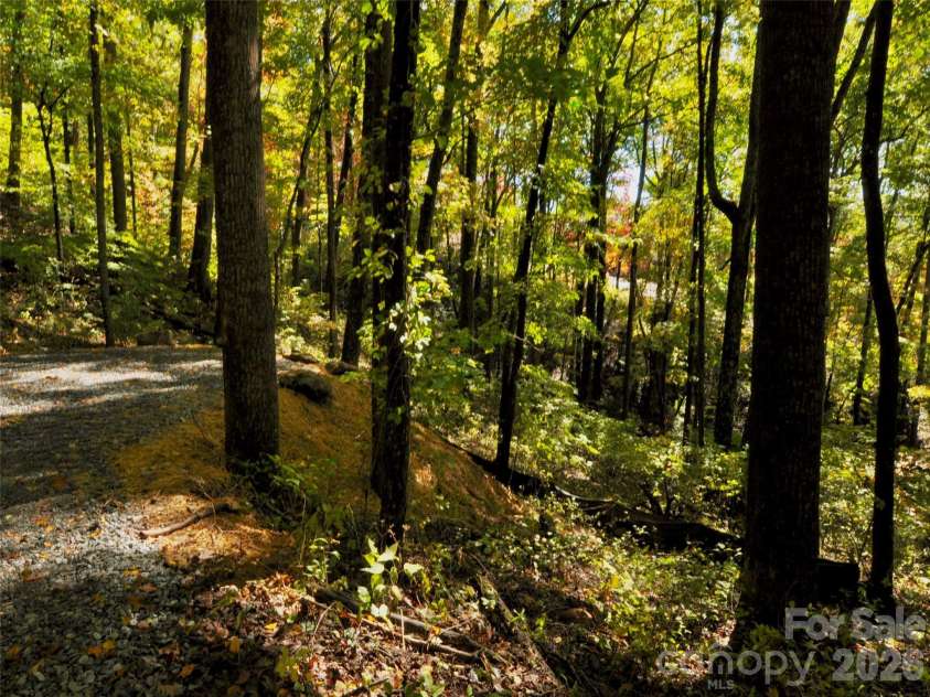 841 Blackthorne Lane, Arden, NC 28704.  MLS# CAR4313999, YatesRealty ID 2854. 