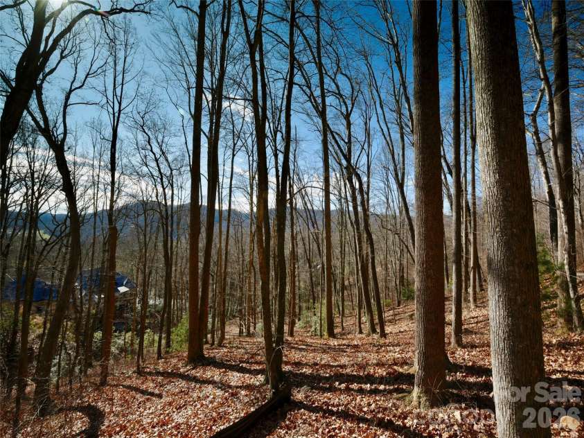 841 Blackthorne Lane, Arden, NC 28704.  MLS# CAR4313999, YatesRealty ID 2854. 