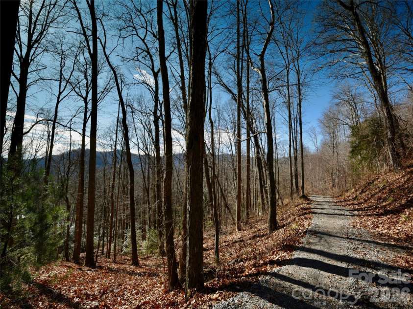 841 Blackthorne Lane, Arden, NC 28704.  MLS# CAR4313999, YatesRealty ID 2854. 