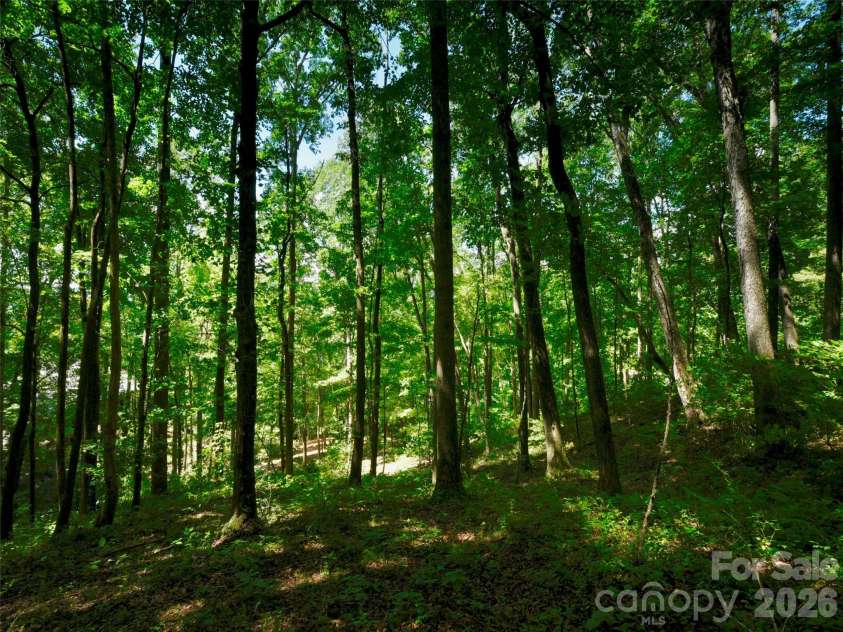 841 Blackthorne Lane, Arden, NC 28704.  MLS# CAR4313999, YatesRealty ID 2854. 