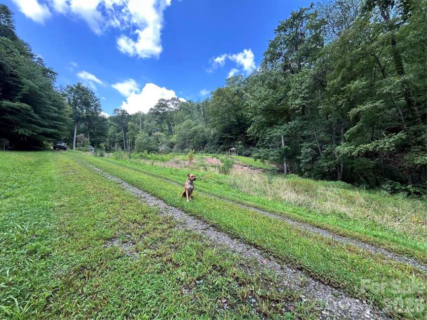 204 Rush Creek Road, Black Mountain, NC 28711.  MLS# CAR4388413, YatesRealty ID 28541. 