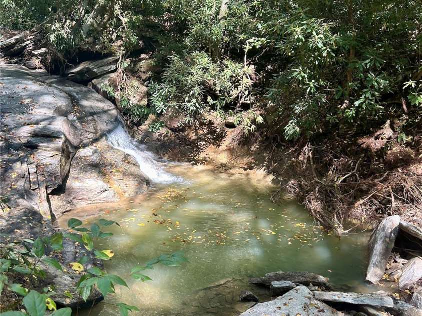 204 Rush Creek Road, Black Mountain, NC 28711.  MLS# CAR4388413, YatesRealty ID 28541. 