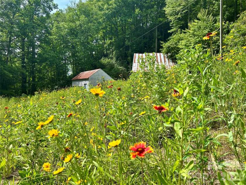 204 Rush Creek Road, Black Mountain, NC 28711.  MLS# CAR4388413, YatesRealty ID 28541. 