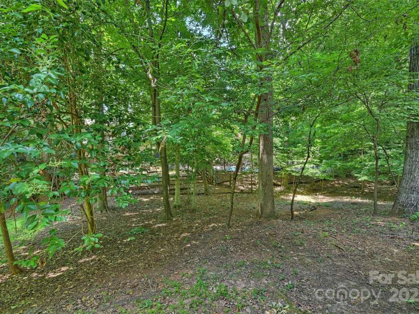 1419 Jules Court, Charlotte, NC 28226.  MLS# CAR4272496, YatesRealty ID 28549. 
