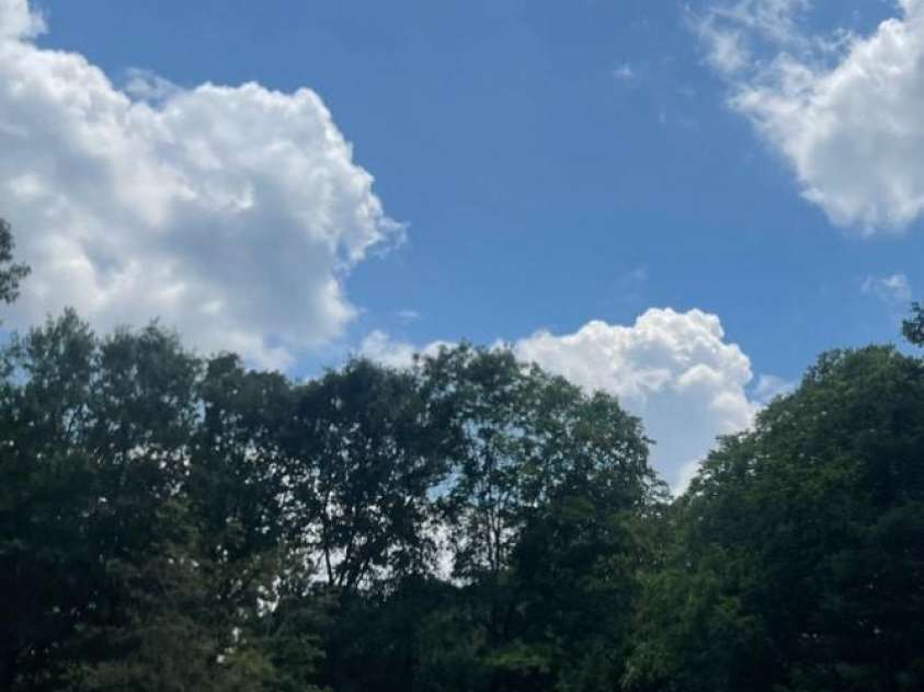 576 Morrow Motor Road, Forest City, NC 28043.  MLS# CAR4278545, YatesRealty ID 28730. 