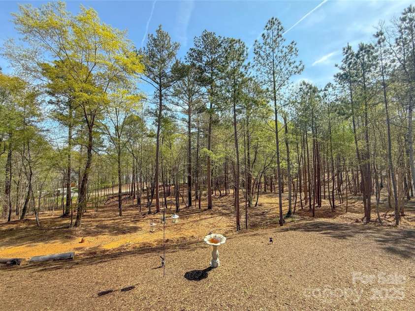 8333 Catawba Cove Drive, Belmont, NC 28012.  MLS# CAR4278915, YatesRealty ID 28739. 