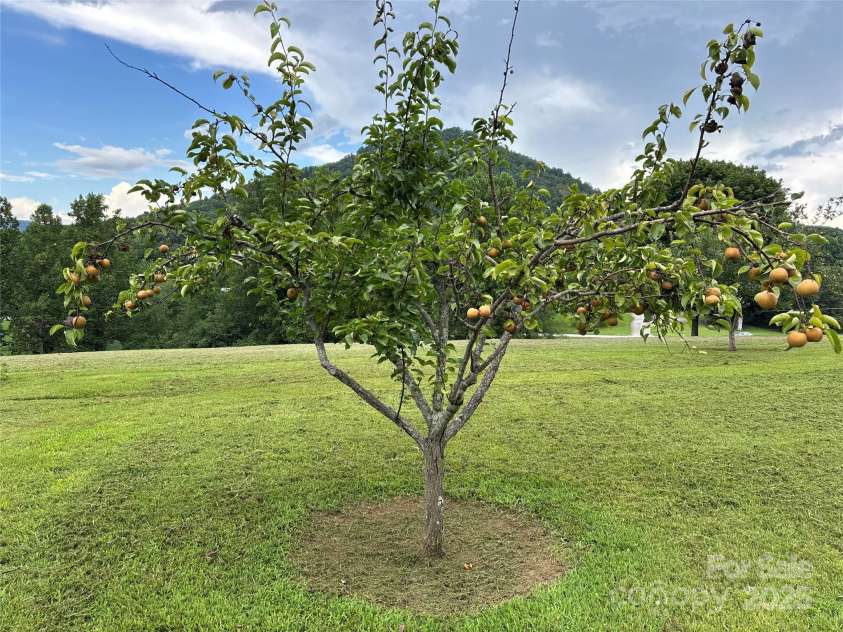 5939 NC Hwy 16 None, Taylorsville, NC 28681.  MLS# CAR4282353, YatesRealty ID 28746. 