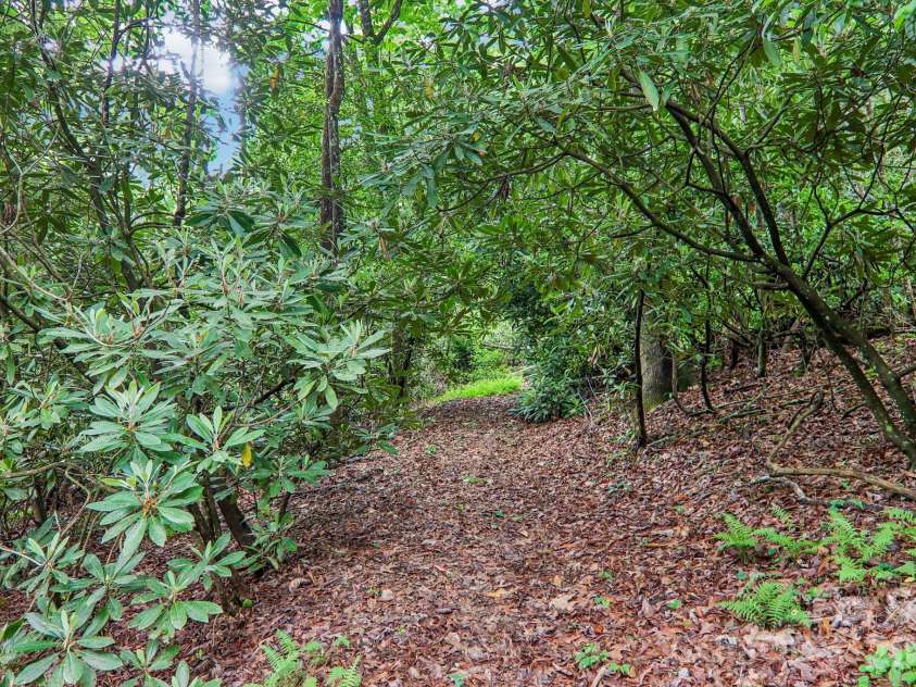 17198 Rosman Highway, Lake Toxaway, NC 28747.  MLS# CAR4385250, YatesRealty ID 28771. 