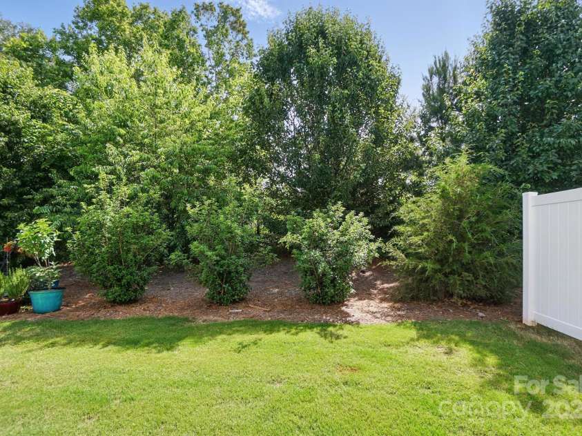 8018 Saluda Drive, Charlotte, NC 28269.  MLS# CAR4255269, YatesRealty ID 28789. Premium lot with peaceful wooded backdrop—no rear neighbors!