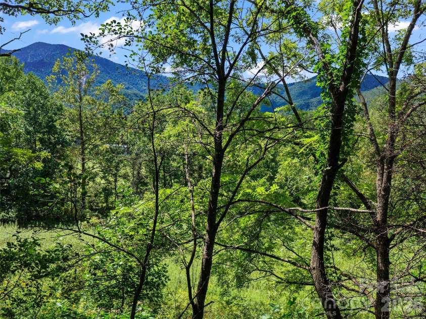 1896 State Hwy 80 S None, Burnsville, NC 28714.  MLS# CAR4389754, YatesRealty ID 28798. 