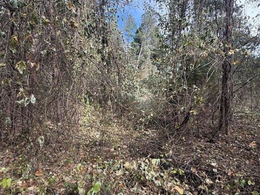 200 Little Wings Mountain Road, Columbus, NC 28722.  MLS# CAR4289310, YatesRealty ID 2881. Lots of area by Hwy 108 is flat.