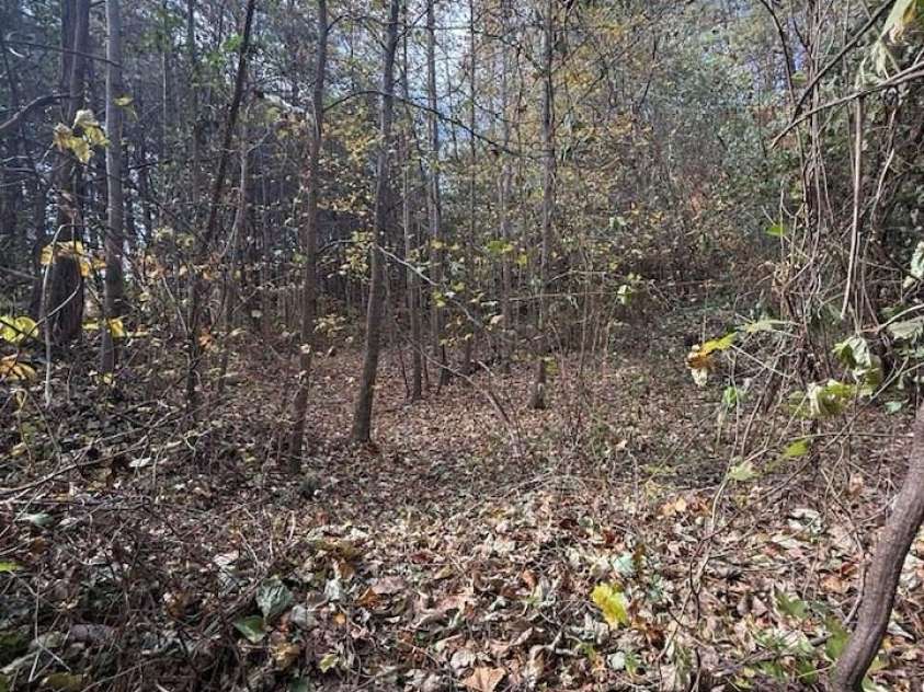 200 Little Wings Mountain Road, Columbus, NC 28722.  MLS# CAR4289310, YatesRealty ID 2881. Lower area is somewhat flat