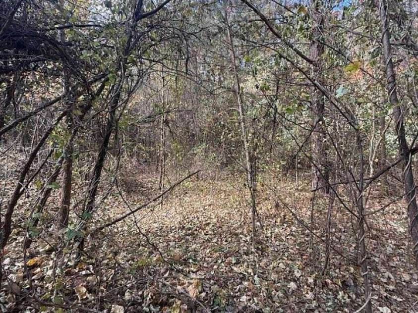 200 Little Wings Mountain Road, Columbus, NC 28722.  MLS# CAR4289310, YatesRealty ID 2881. Small holding pond