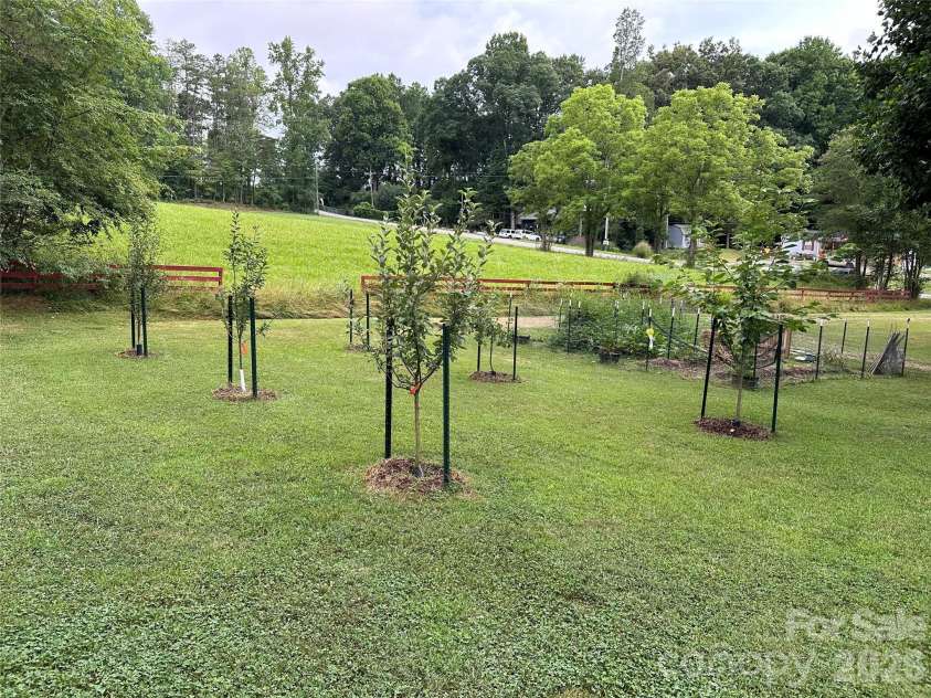 1348 Jenkins Valley Road, Alexander, NC 28701.  MLS# CAR4342000, YatesRealty ID 2883. Spring/Summer Outdoors - Fruit Trees