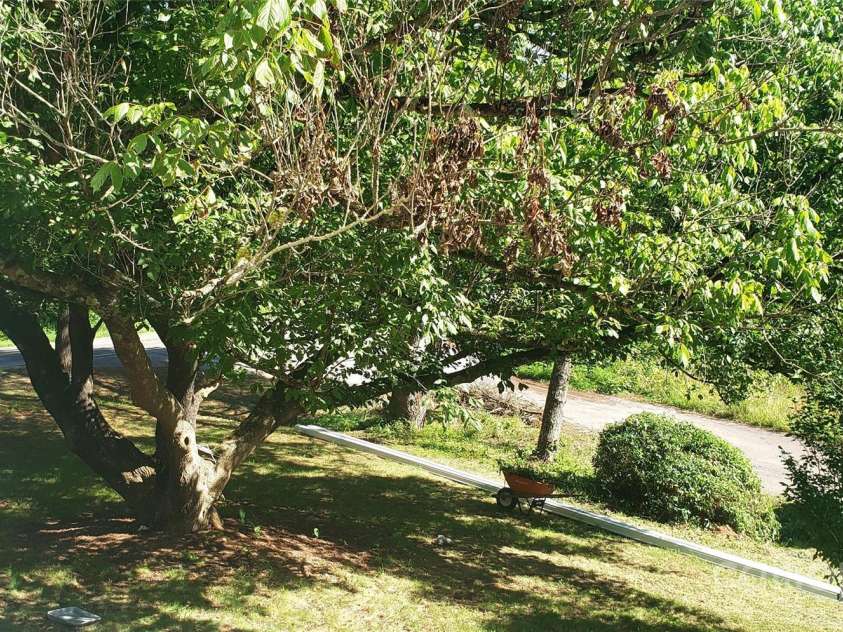 4755 US 23 Highway, Mars Hill, NC 28754.  MLS# CAR4285920, YatesRealty ID 28838. Yard