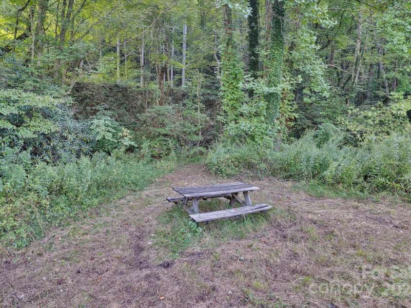 5407 Gerton Highway, Gerton, NC 28735.  MLS# CAR4176262, YatesRealty ID 2885. 