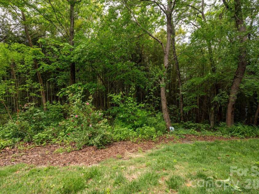 181 Glendale Avenue, Asheville, NC 28803.  MLS# CAR4380029, YatesRealty ID 28881. Backyard has Native Plants