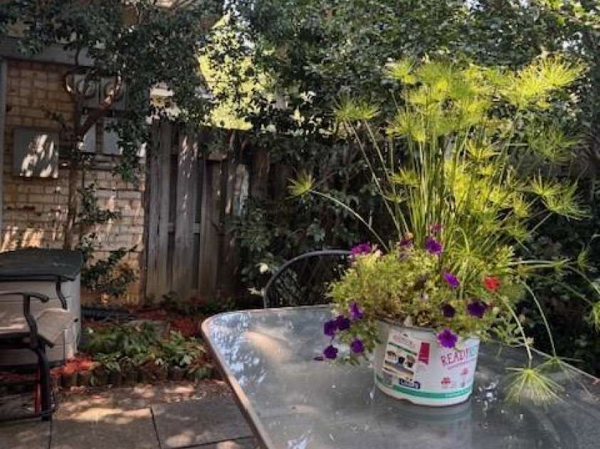 2227 Rexford Road, Charlotte, NC 28211.  MLS# CAR4285579, YatesRealty ID 28887. 