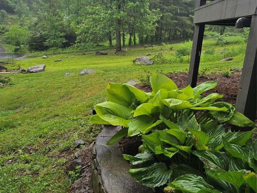 47 Fir Circle, Canton, NC 28716.  MLS# CAR4385612, YatesRealty ID 28936. Beautifully landscaped